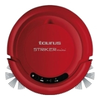 Taurus Striker Mini