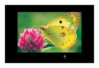 AquaView 15