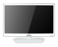 GoldStar LT-24T405R