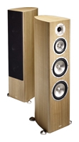 Acoustic Energy Radiance 3