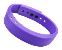 Teslawatch T-Band