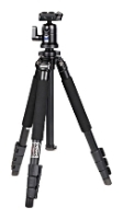 Benro A250FBH00