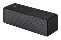 Sony SRS-X33