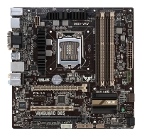 ASUS VANGUARD B85