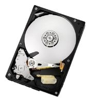 HGST HDS5C1010CLA382