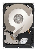 Seagate ST1000NC001