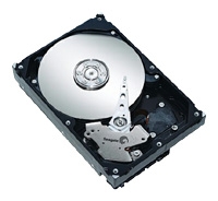 Seagate ST31000333AS