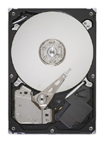 Seagate ST31000524AS