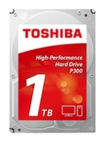 Toshiba HDWD110EZSTA