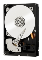 Western Digital WD1002F9YZ
