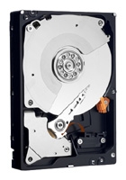 Western Digital WD1002FBYS