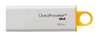 Kingston DataTraveler G4