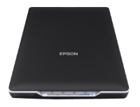 Epson Perfection V19