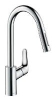 Hansgrohe Focus 31815000