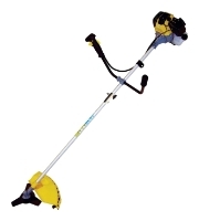 Champion T436