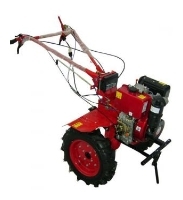 AgroMotor AS1100BE