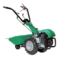 CAIMAN 403