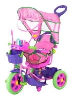 FAMILY F-95531